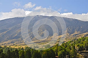 Tree Line and Slopes of Mount Etna, Sicily