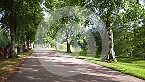 Tree-lined Avenue in Shrewsbury, England photo