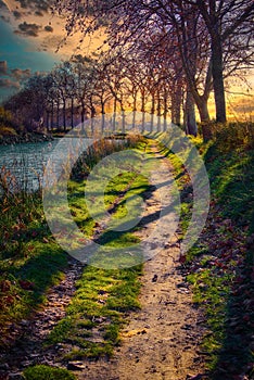 A footpath along the Canal du Midi in late afternoon with beautiful light. Herault, France