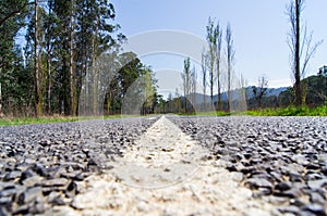 A tree lined country road near Marysville, Australia.