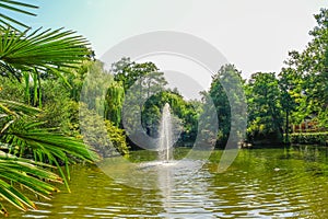 Tree lined lake with a fontain in the middle of the water.