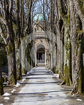 Tree lined path leading to the domed entrance to Mirogoj Cemetery