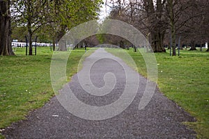 Tree-lined path through Phoenix Park in Dublin, Ireland