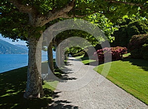 Tree lined path on shore of Lake Como