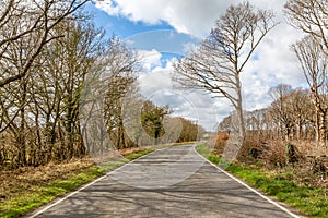 A Tree-lined Road in the Sussex Countryside