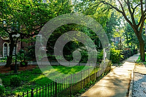 Tree-lined Sidewalk in Chicago`s Lincoln Park Neighborhood during the Afternoon