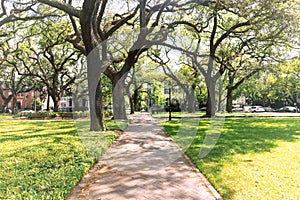 A tree lined sidewalk in Savannah Georgia