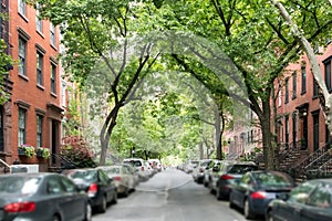 Tree lined street of historic brownstone buildings in a Greenwich Village neighborhood in Manhattan New York City NYC photo