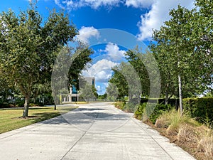 A tree lined street leading into a university campus