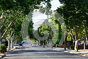 Tree lined street in residential neighborhood with cars parked in front of houses. School crossing sign