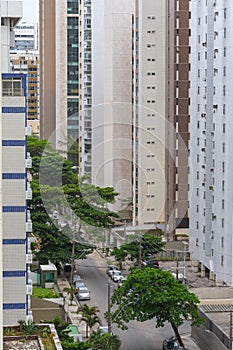 Tree-lined street surrounded by tall residential buildings, Recife PE Brazil photo