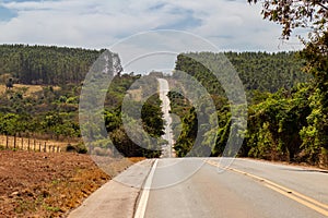Tree-lined stretch of BR-352.