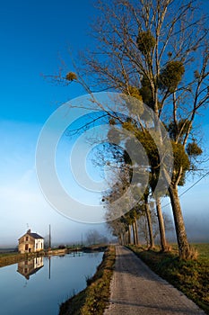 Tree-lined towpath along the Burgundy Canal at Chassey, France