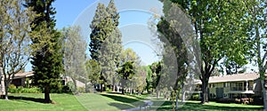 Tree lined walkway in Laguna Woods, Caliornia