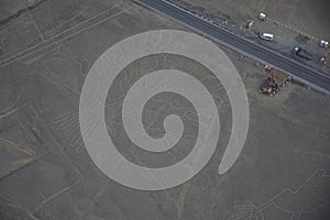 The Tree and The Lizard geoglyph and observatory, Lines and Geoglyphs of Nasca. Peru.