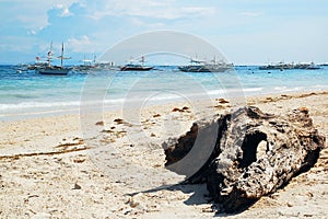 Tree log at beach sand in Alona beach, Panglao island, Bohol, Philippines