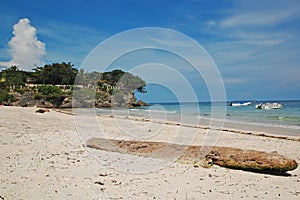 Tree log at beach sand in Alona beach, Panglao island, Bohol, Philippines
