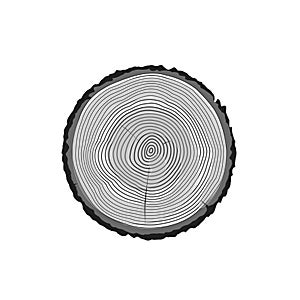 Tree log rings vector icon, tree wooden cross section black texture isolated, wood timber cut