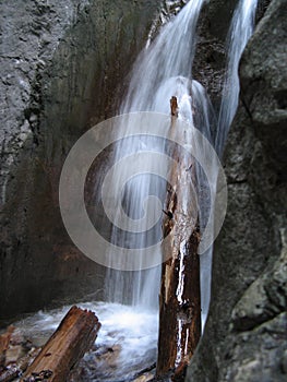 A tree log under a waterfall