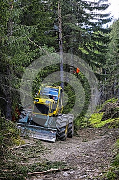 Tree logging in Ziar valley, Western Tatras, Slovakia