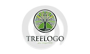 Tree Logo