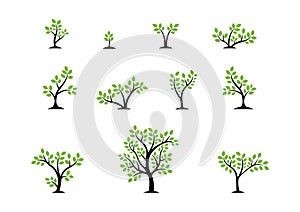 Tree logo concept,set of trees nature wellness symbol icon design vector