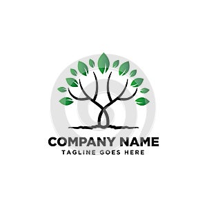 Tree Logo Design Inspiration. vector illustration