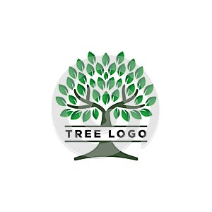 Tree Logo Design Inspiration. vector illustration