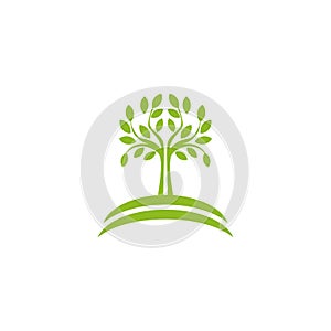 Tree logo design inspiration vector template