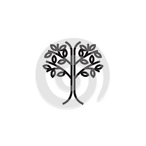 Tree logo design inspiration vector template