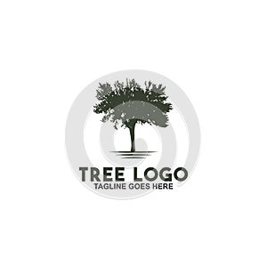 Tree logo design inspiration vector template