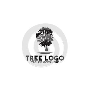 Tree logo design inspiration vector template