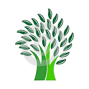 Tree logo illustration.Tree icon.