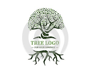 Tree logo isolated on a white background. Classic design. Green and brown colors. Lettering. Space for text. Leaves and roots.