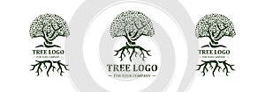 Tree logo isolated on a white background. Classic design. Green and brown colors. Lettering. Space for text. Leaves and roots.