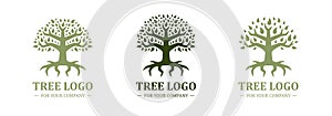 Tree logo isolated on a white background. Classic design. Green color. Lettering. Space for text. Leaves and roots. Simple modern