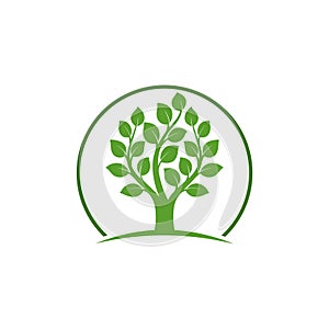 Tree logo template. Nature icon design isolated on white background