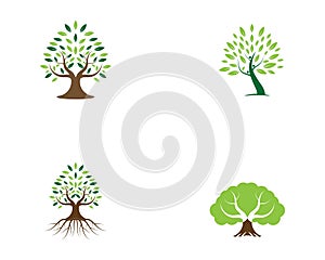 Tree logo vector illustration