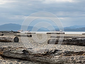 Tree logs on Jericho beach in Vancouver BC