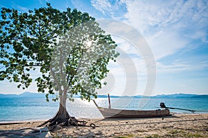 Tree with long tail boat on the beach at Naka Noi Island Phuket,