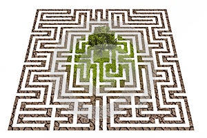 Tree lost in endless labyrinth