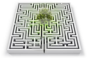 Tree in lost in labyrinth