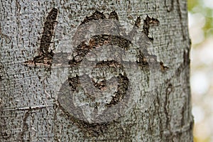 Tree of love