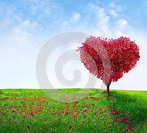 Tree of love photo