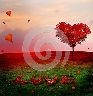 Tree of love in autumn. Red heart shaped tree at sunset.Autumn s