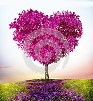 Tree of love photo