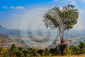 Tree of love in heart shaped with the green valley, blue sky and mountain range background. This public area is located at Ban Ruk