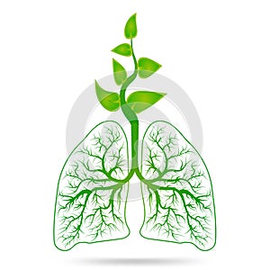 Tree lungs. Design like healthy lung. Health care and clean air concept