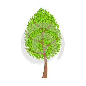 Tree with lush green foliage, leaves element of a landscape. Colorful cartoon vector Illustration