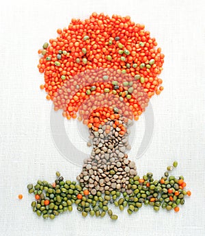 A tree made of lentils and mung beans